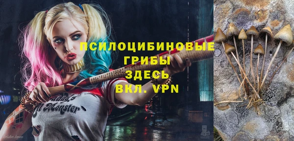 эйфоретик Абинск