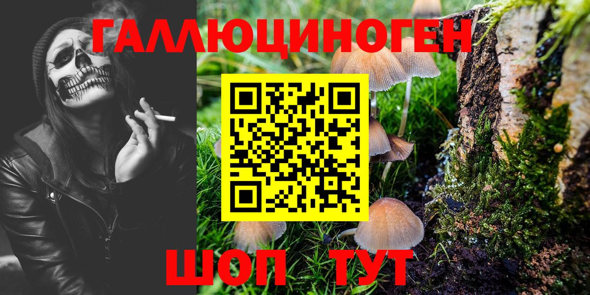 Узловая  Галлюциногенные грибы MAGIC MUSHROOMS  Вход с VPN  Псилоцибиновые грибы мицелий 